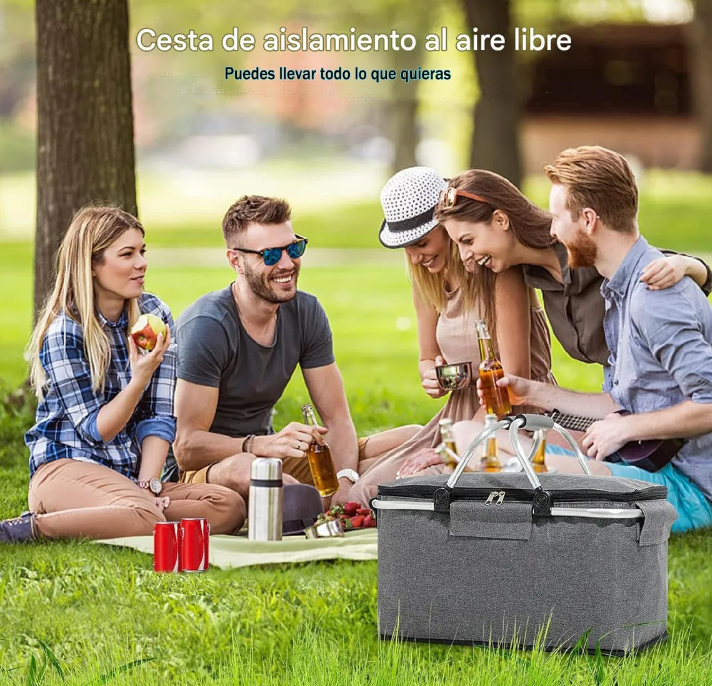 Canasta de picnic con aislación